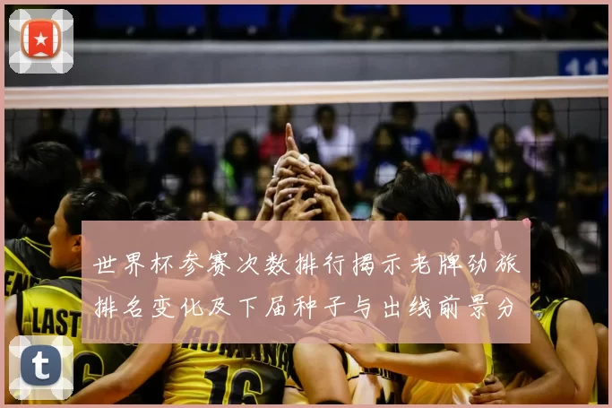 世界杯参赛次数排行揭示老牌劲旅排名变化及下届种子与出线前景分析